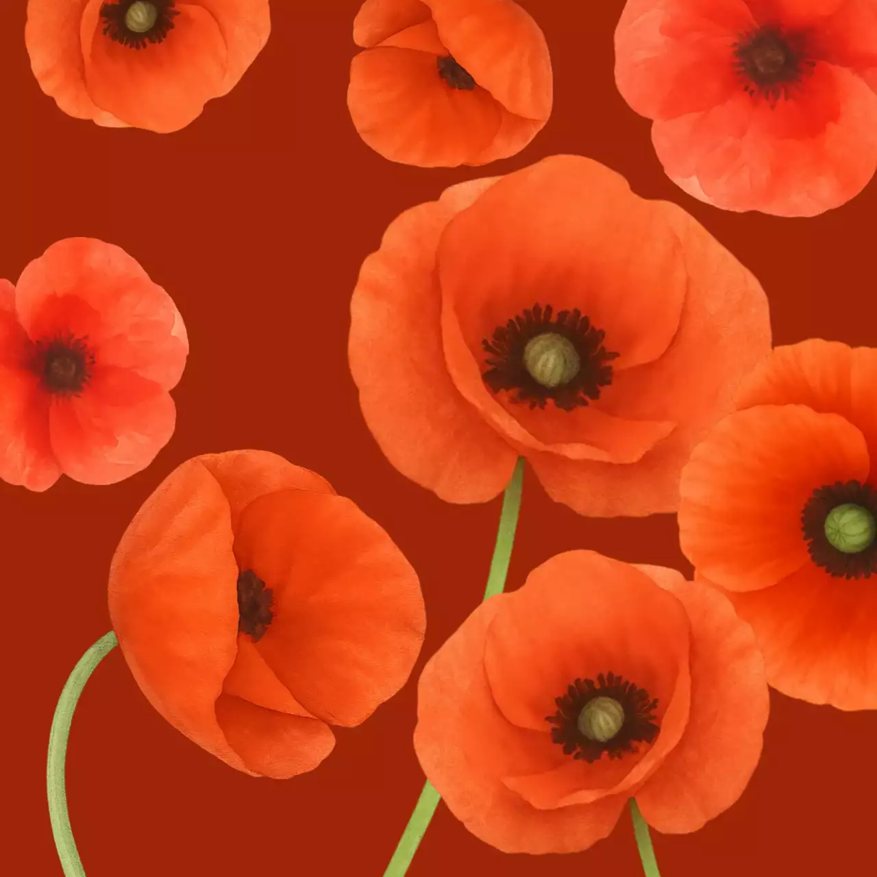 주황 자연 꽃 배경