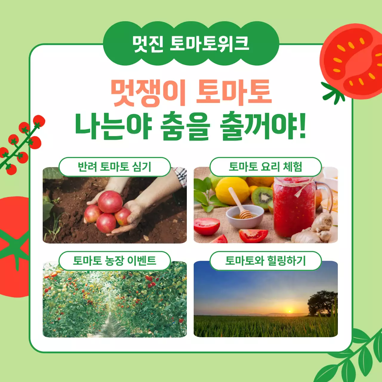 연두 깔끔 체험 안내