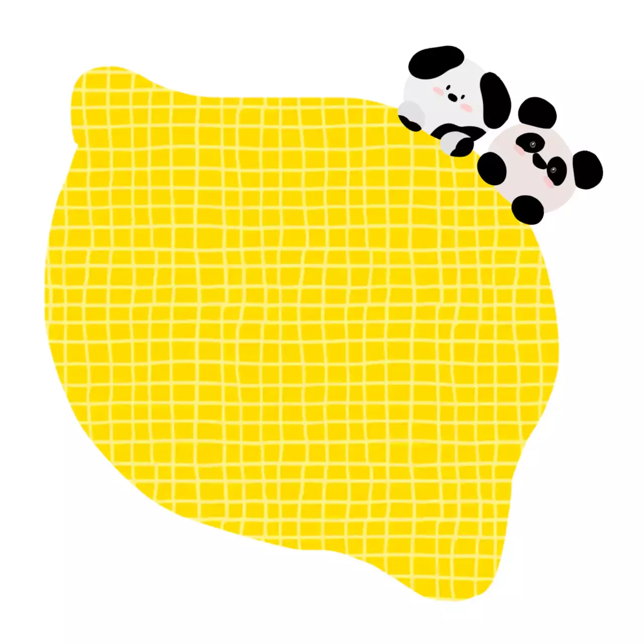 판다랑바둑이랑