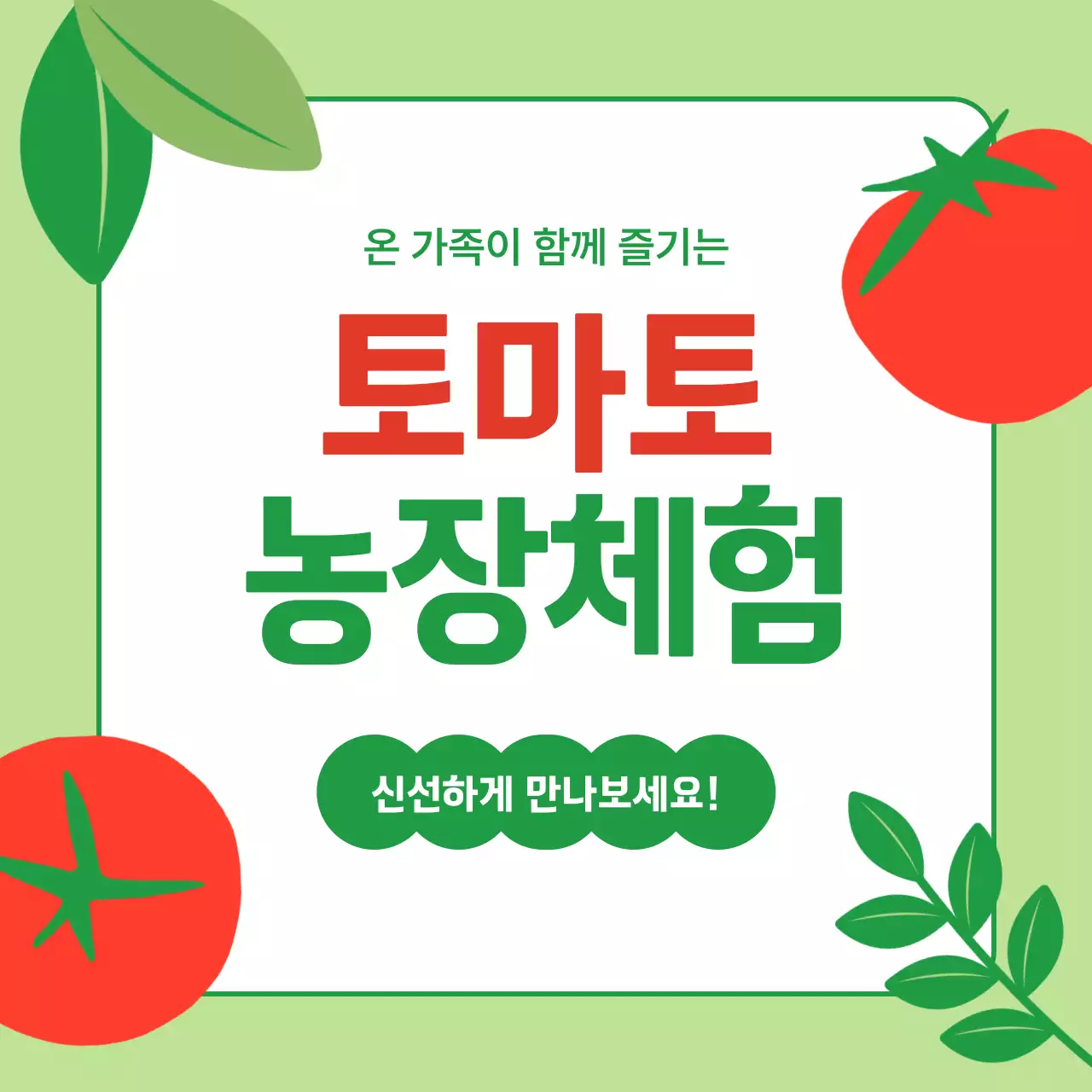 연두 깔끔 체험 안내