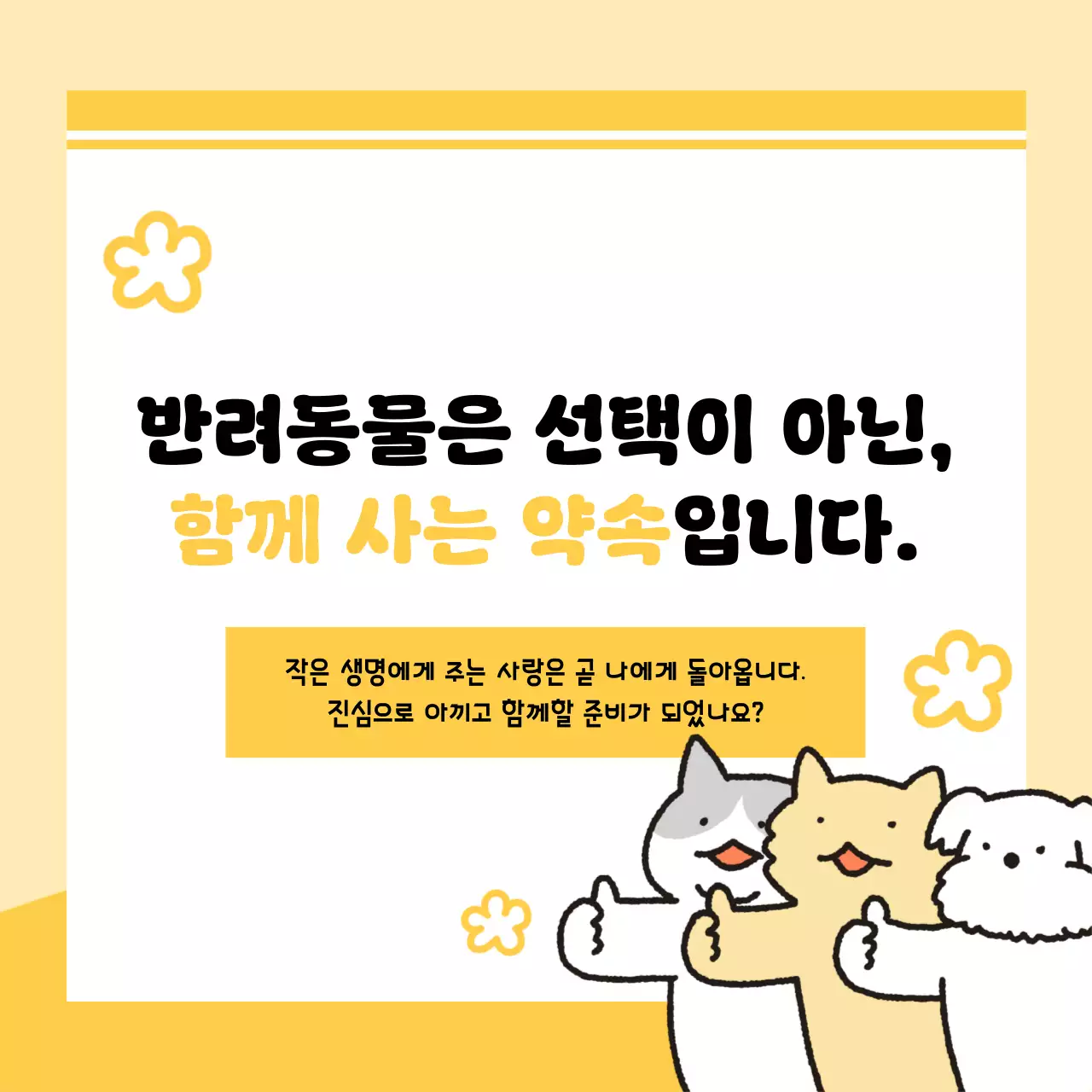 노랑 아기자기한 반려동물 안내