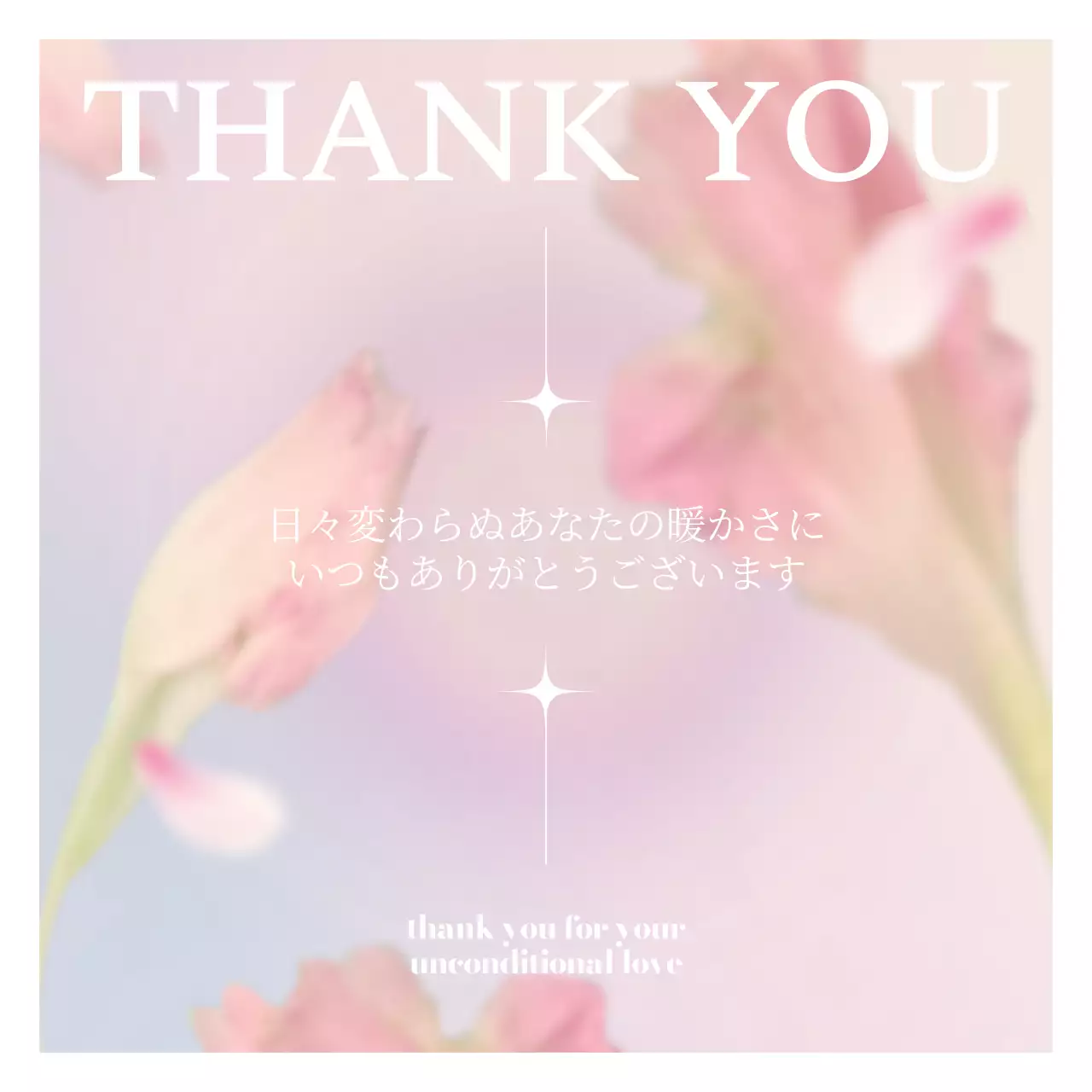 ピンク シンプル 感謝 カード