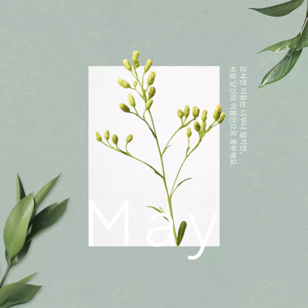 민트색과 흰색의 심플한 감사의달 이벤트 공지