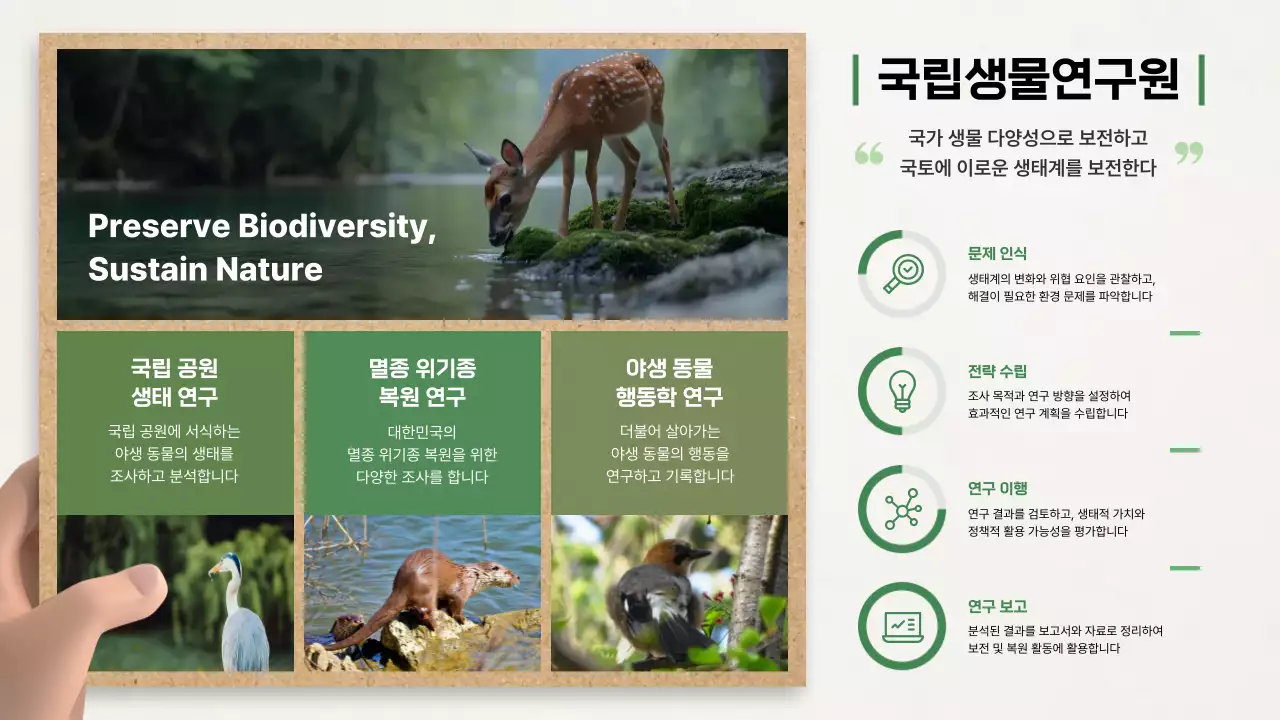 초록 심플 생물 다양성 연구 소개