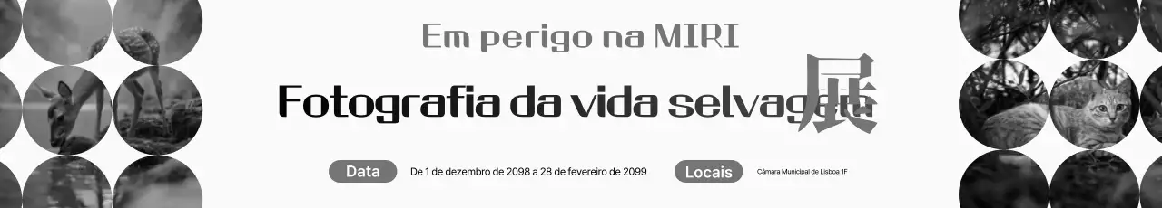 Exposição de fotos nítidas em preto e branco