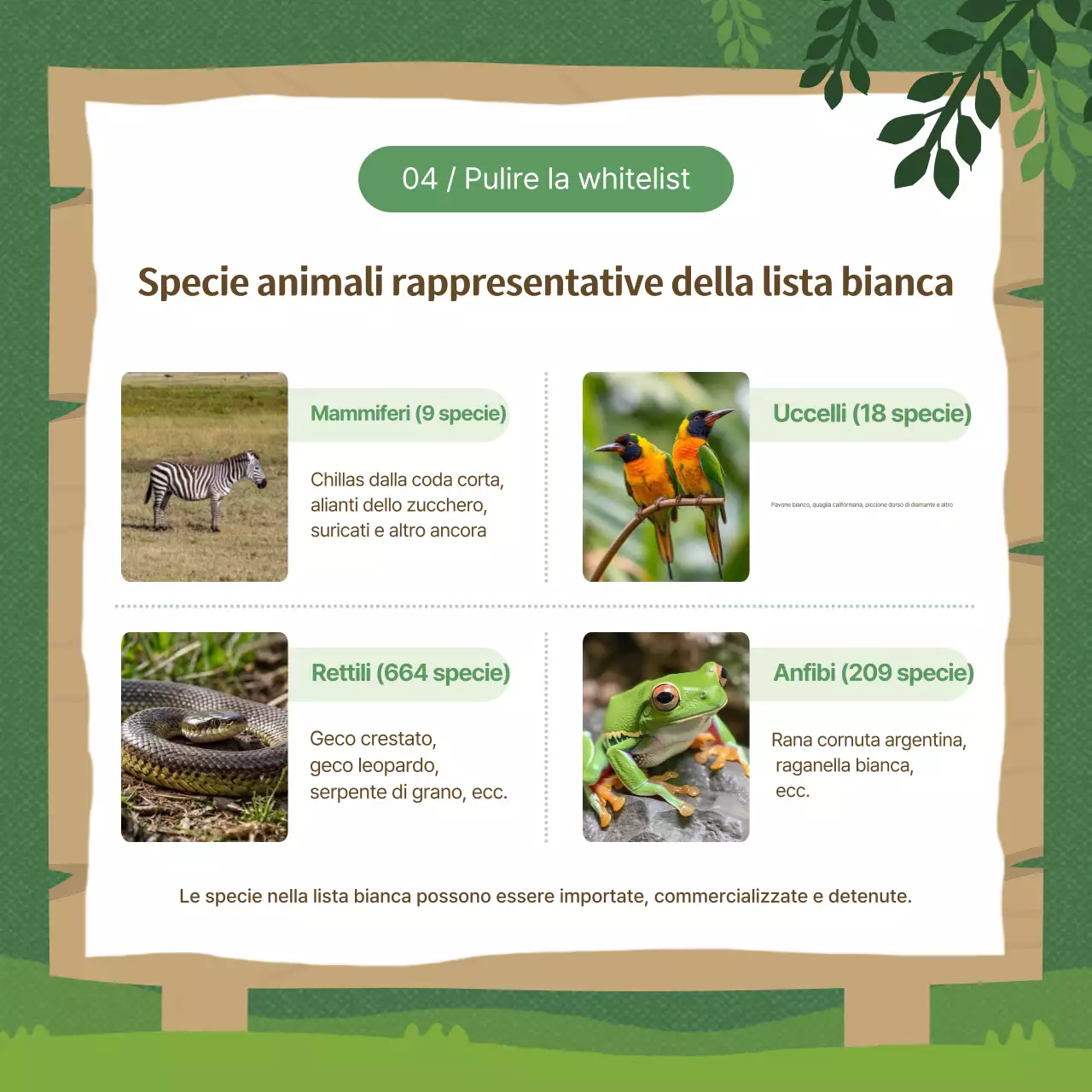 Guida alla protezione dell'ambiente naturale verde