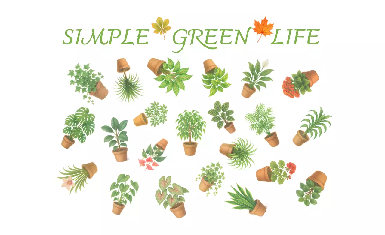 초록빛 다양한 인테리어 식물 홍보 굿즈