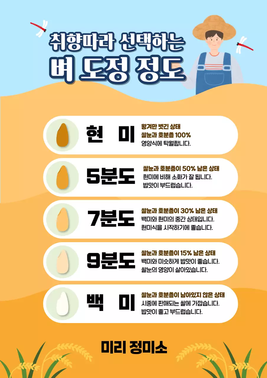 하늘색 심플 쌀 정보 전달