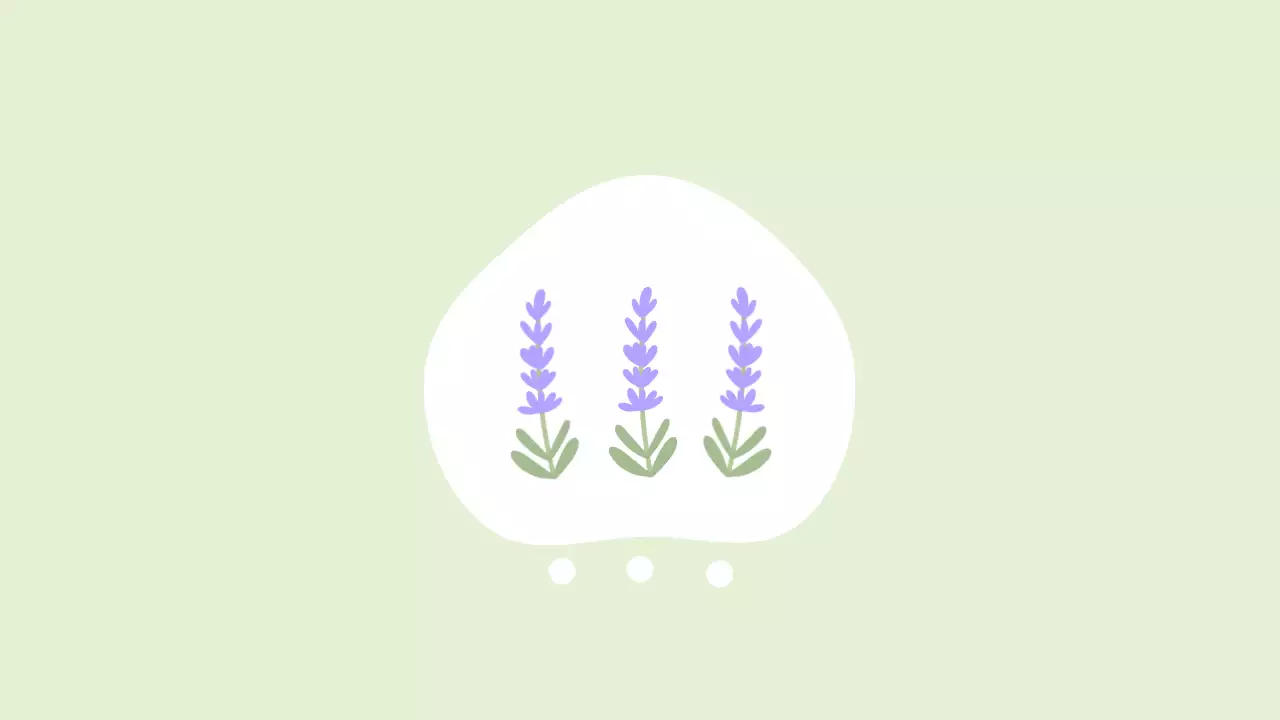 연보라 심플 자연 엽서