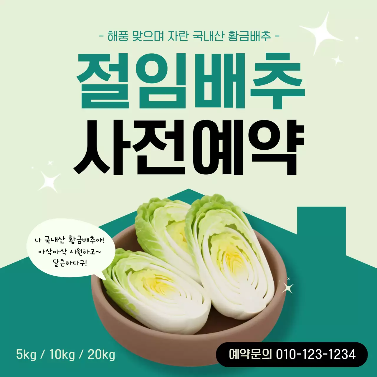 초록 심플 배추예약 안내