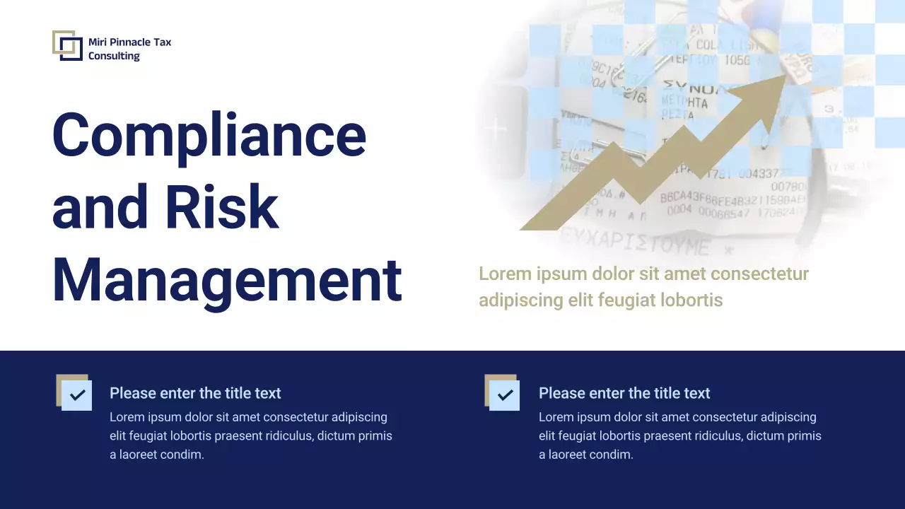 Blue Professional Tax Consulting Promotion Presentation