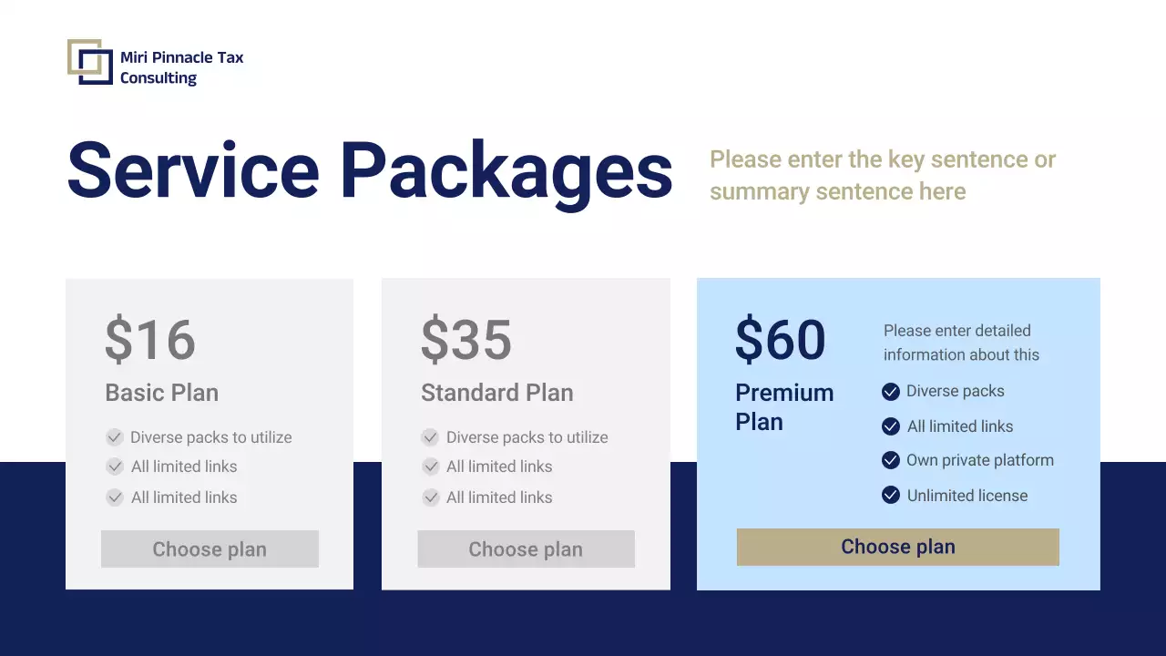 Blue Professional Tax Consulting Promotion Presentation