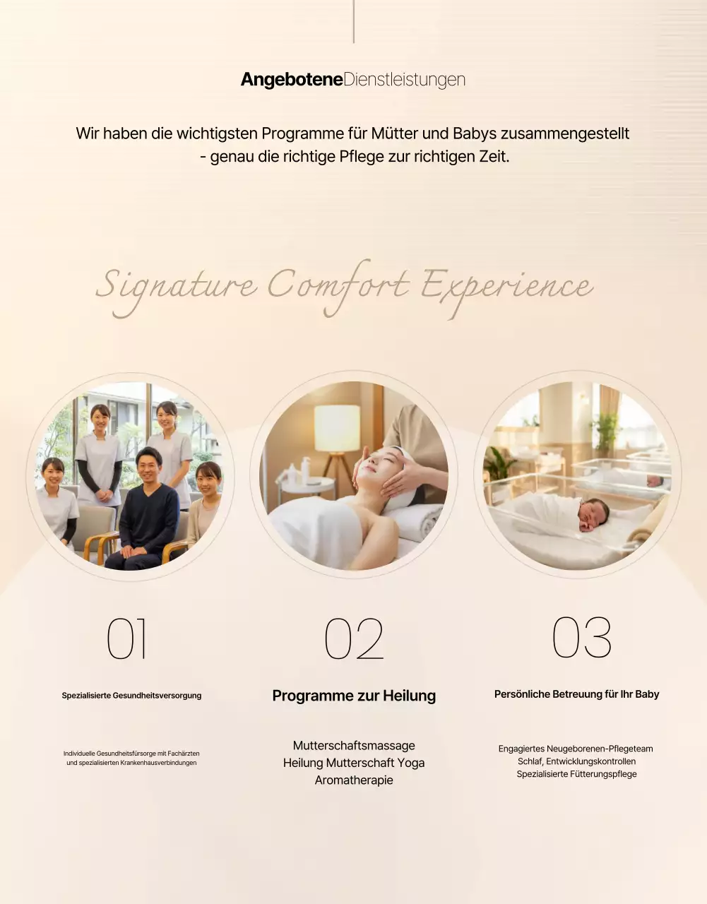 Beige Clean Postpartum Care Center Promotion