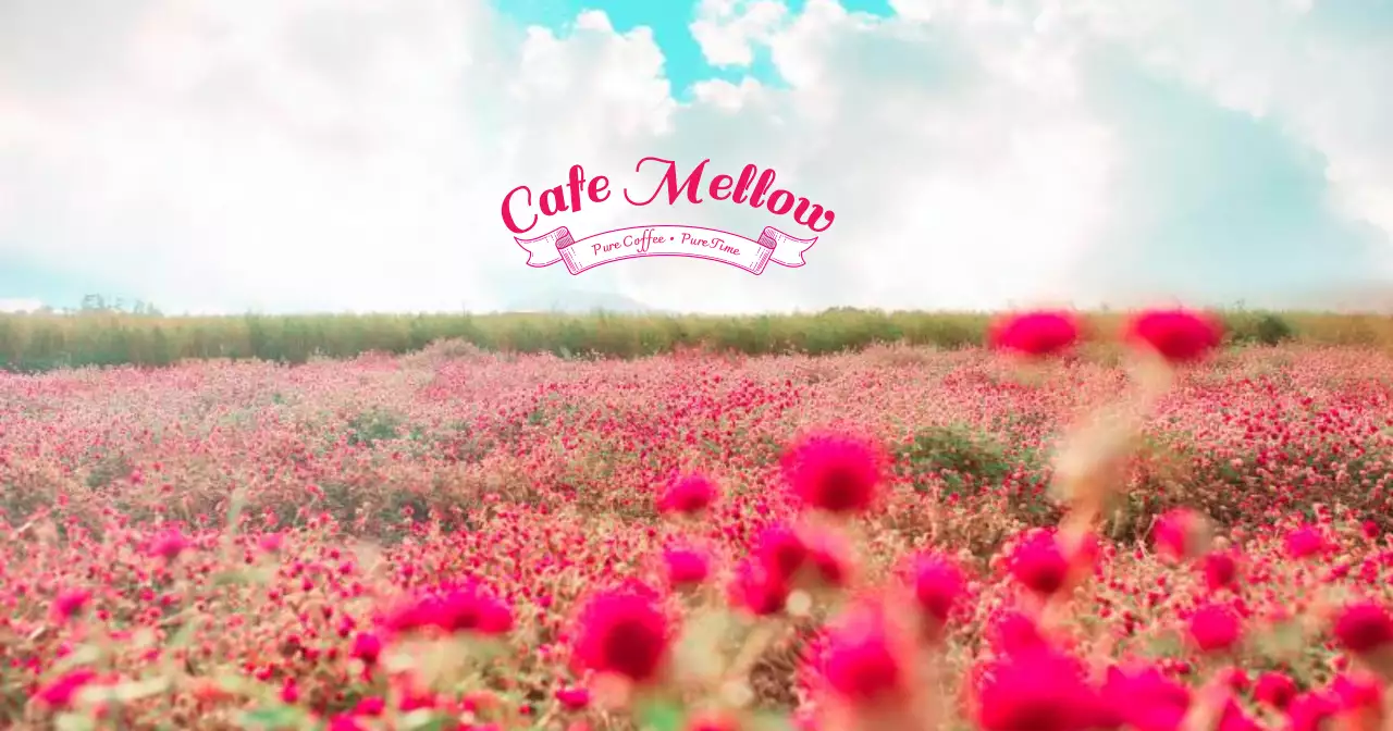 ピンク ナチュラル カフェ 看板