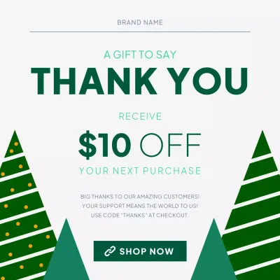 Green Modern Christmas Gift Promotion for Social Media