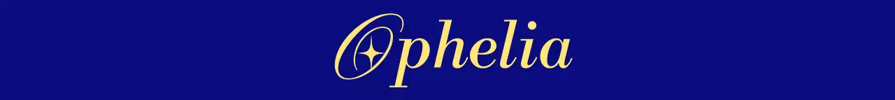 남색과 노란색의 심플하고 감성적인 포인트가 들어간 텍스트 로고 스타일 악세사리점 홍보 및 판촉