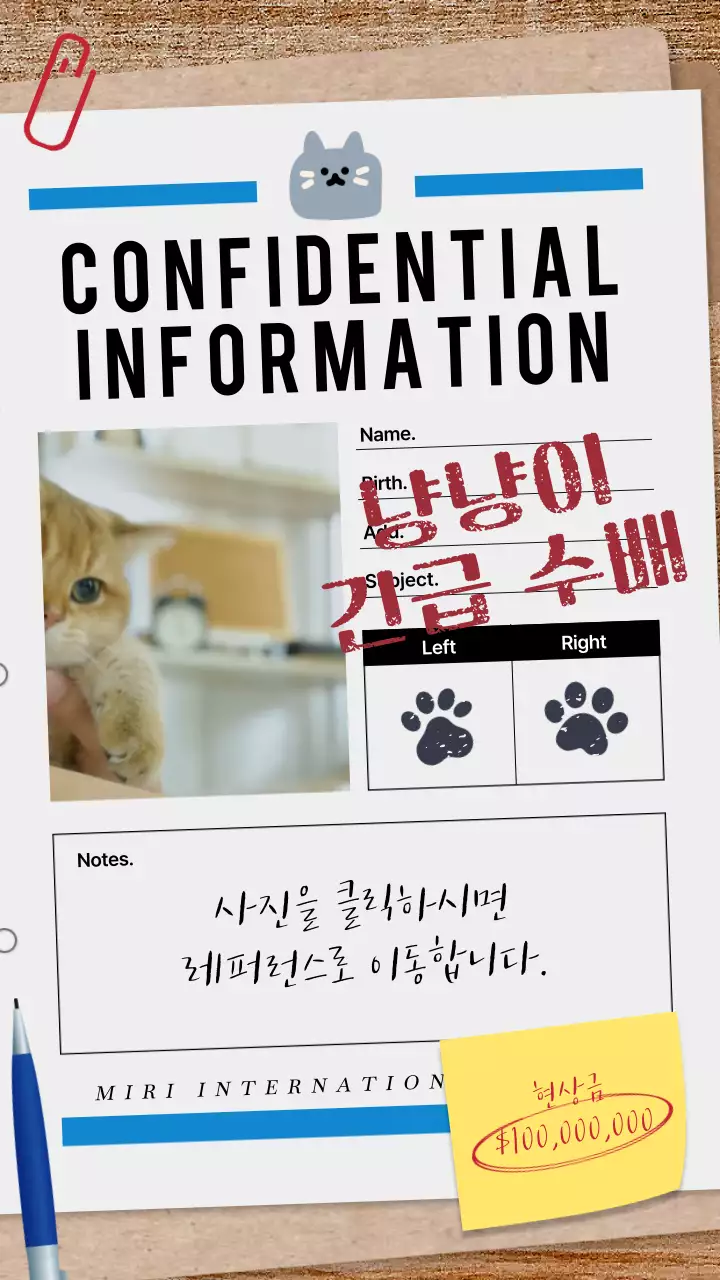 흰색 종이의 고양이 현상수배 기밀정보 파일