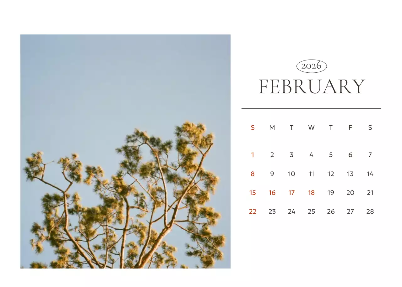 흰색 미니멀 연간 계획 달력