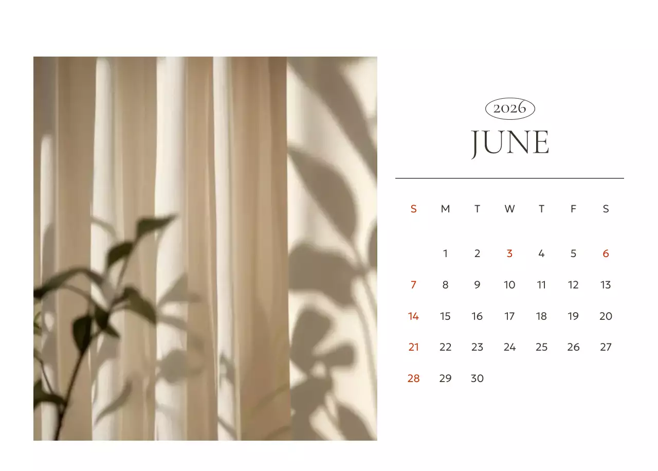 흰색 미니멀 연간 계획 달력