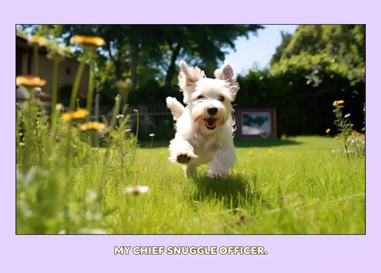 ベージュ かわいい ペット カレンダー