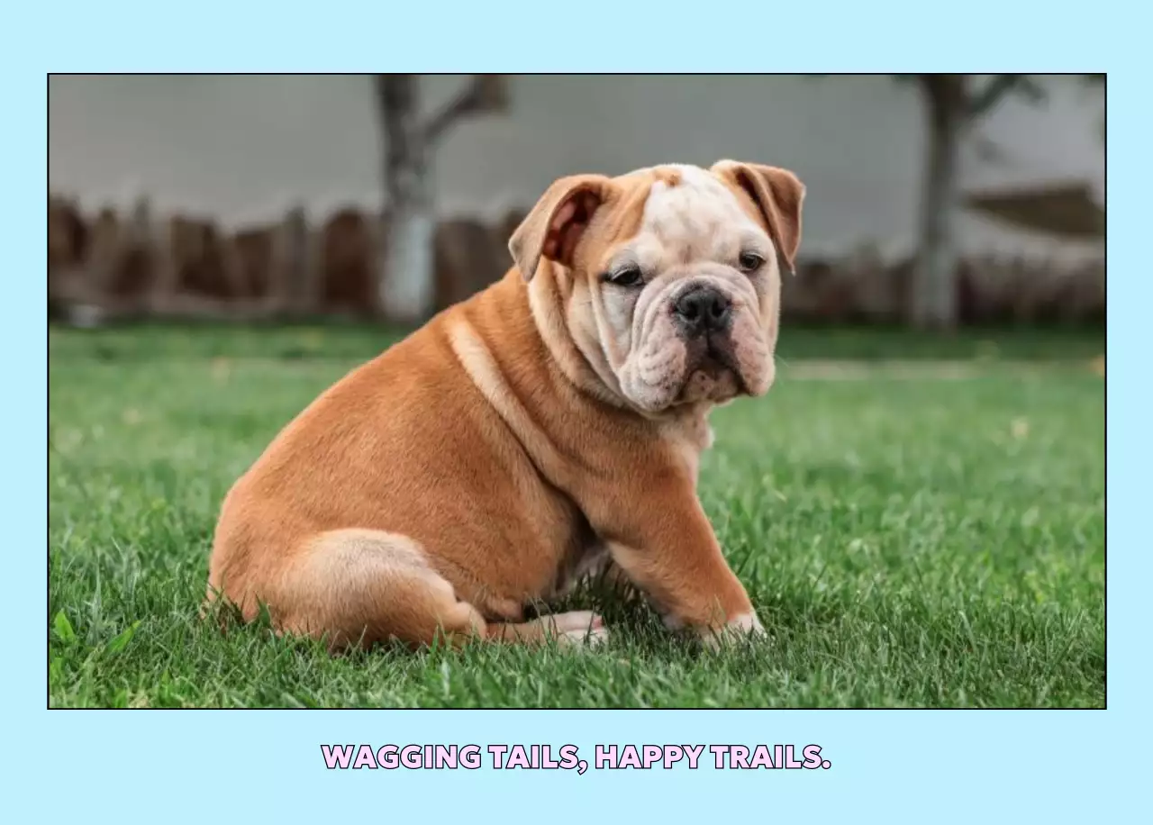 ベージュ かわいい ペット カレンダー