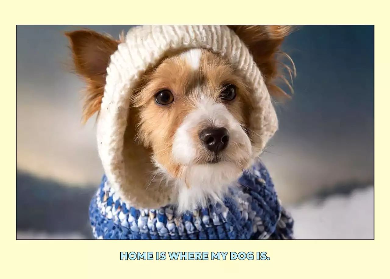 ベージュ かわいい ペット カレンダー