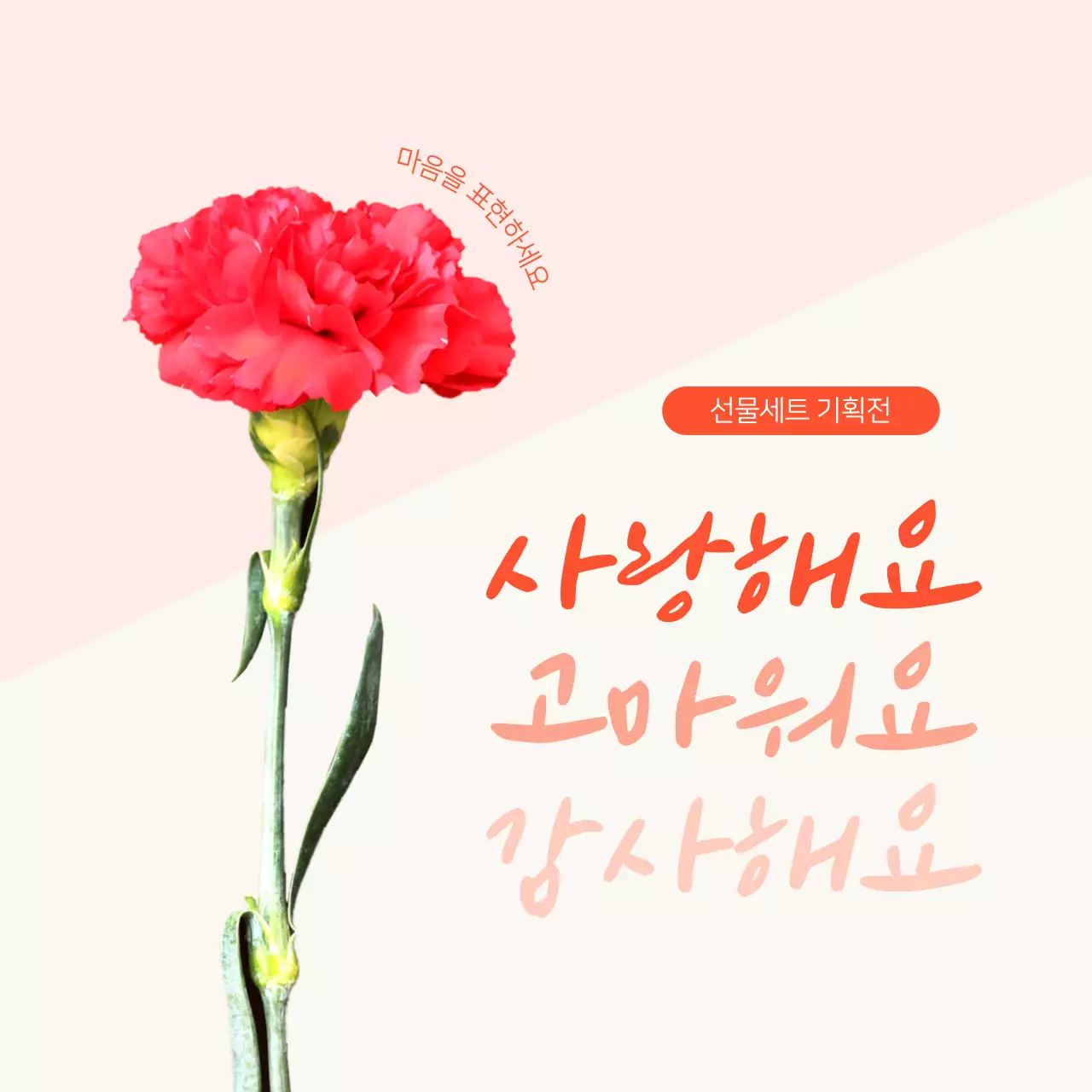 어버이날 스승의날 감사 기획전