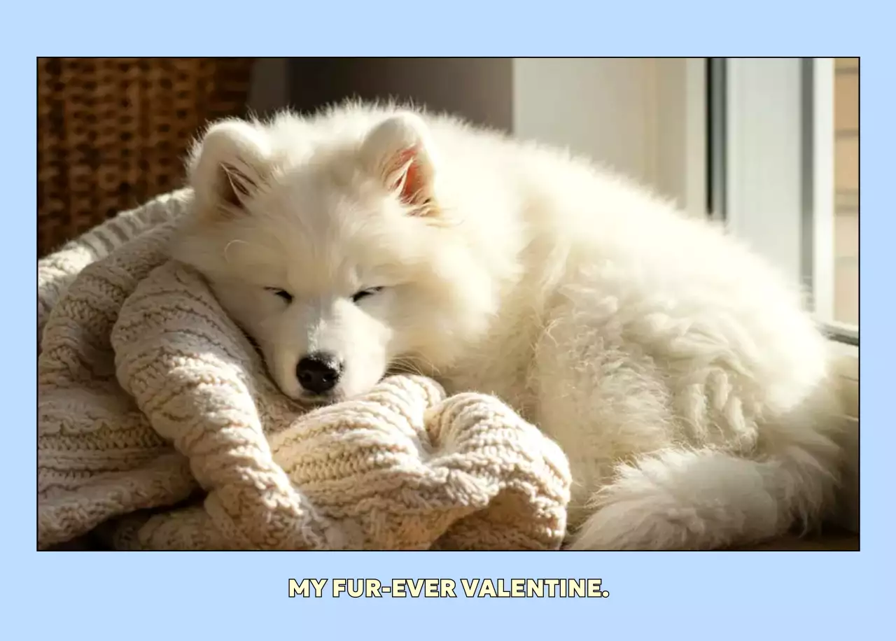 ベージュ かわいい ペット カレンダー