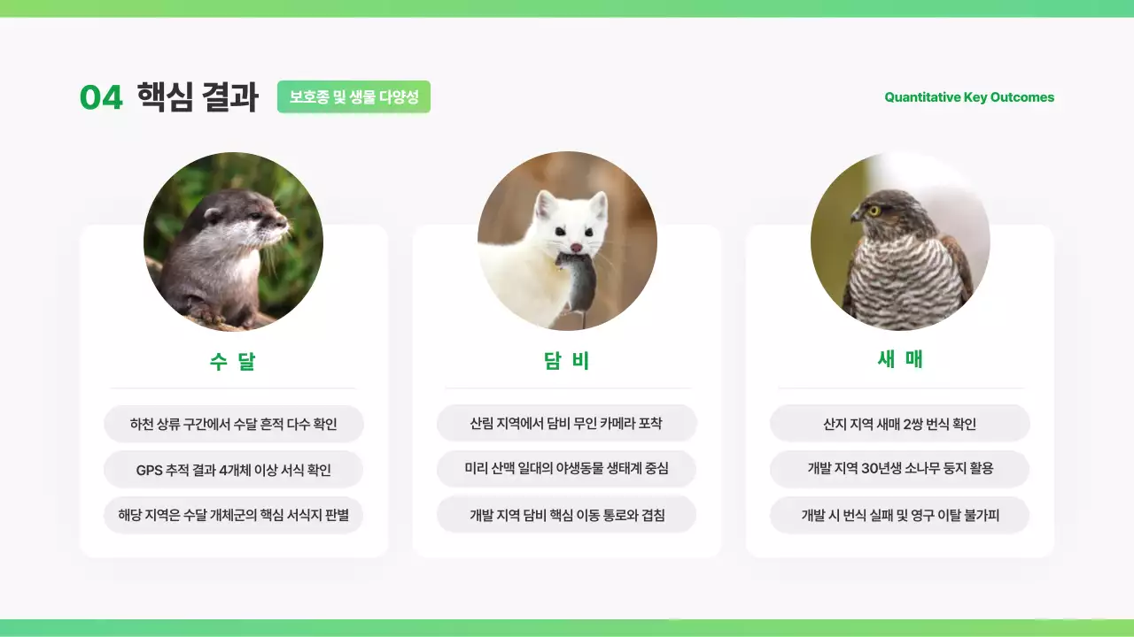 초록 깔끔 환경 보고서