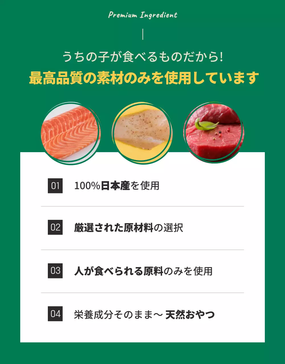 黄色 シンプル ペット チラシ 詳細ページ