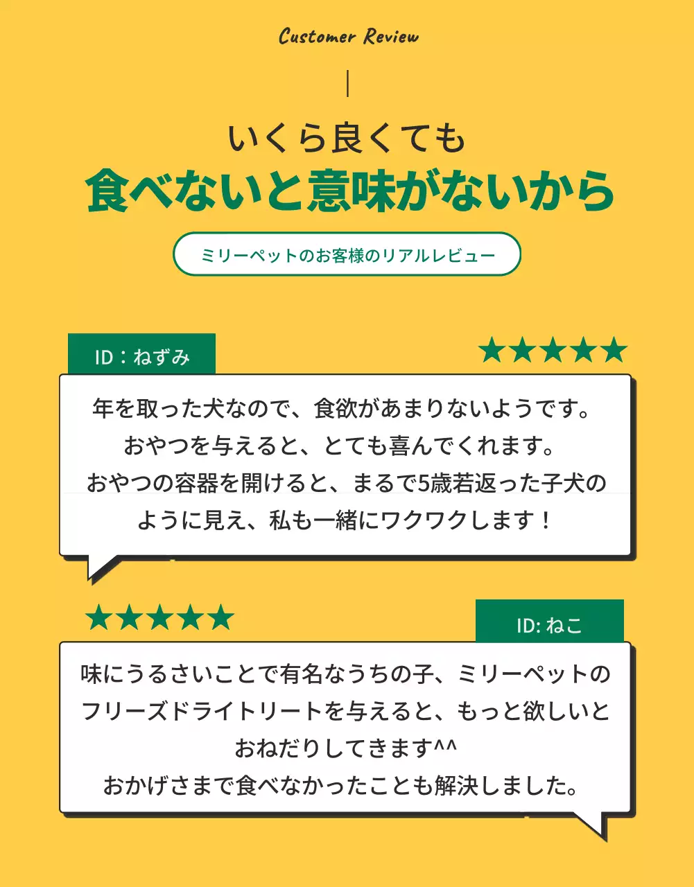 黄色 シンプル ペット チラシ 詳細ページ