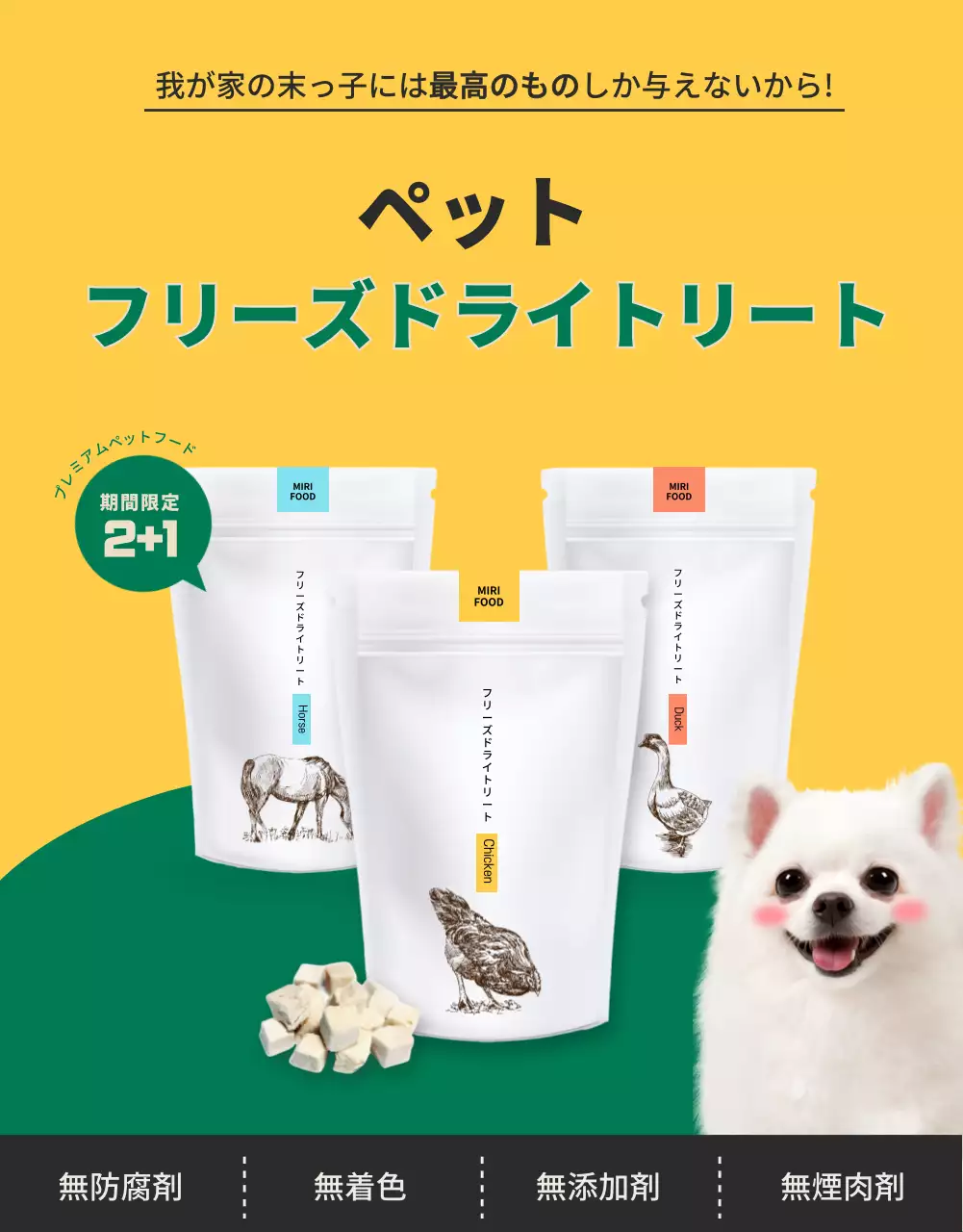 黄色 シンプル ペット チラシ 詳細ページ