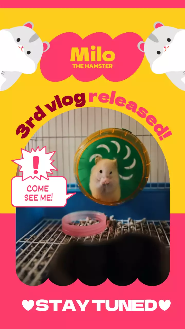 노랑 핑크 햄스터 귀여운 브이로그 홍보