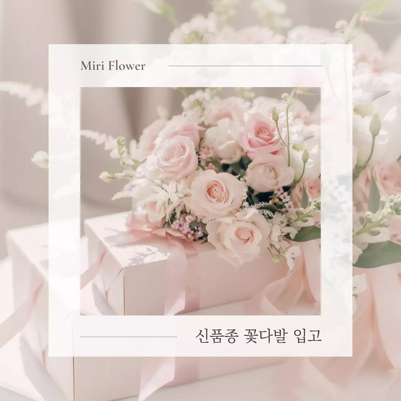 핑크 우아한 플라워 프로모션