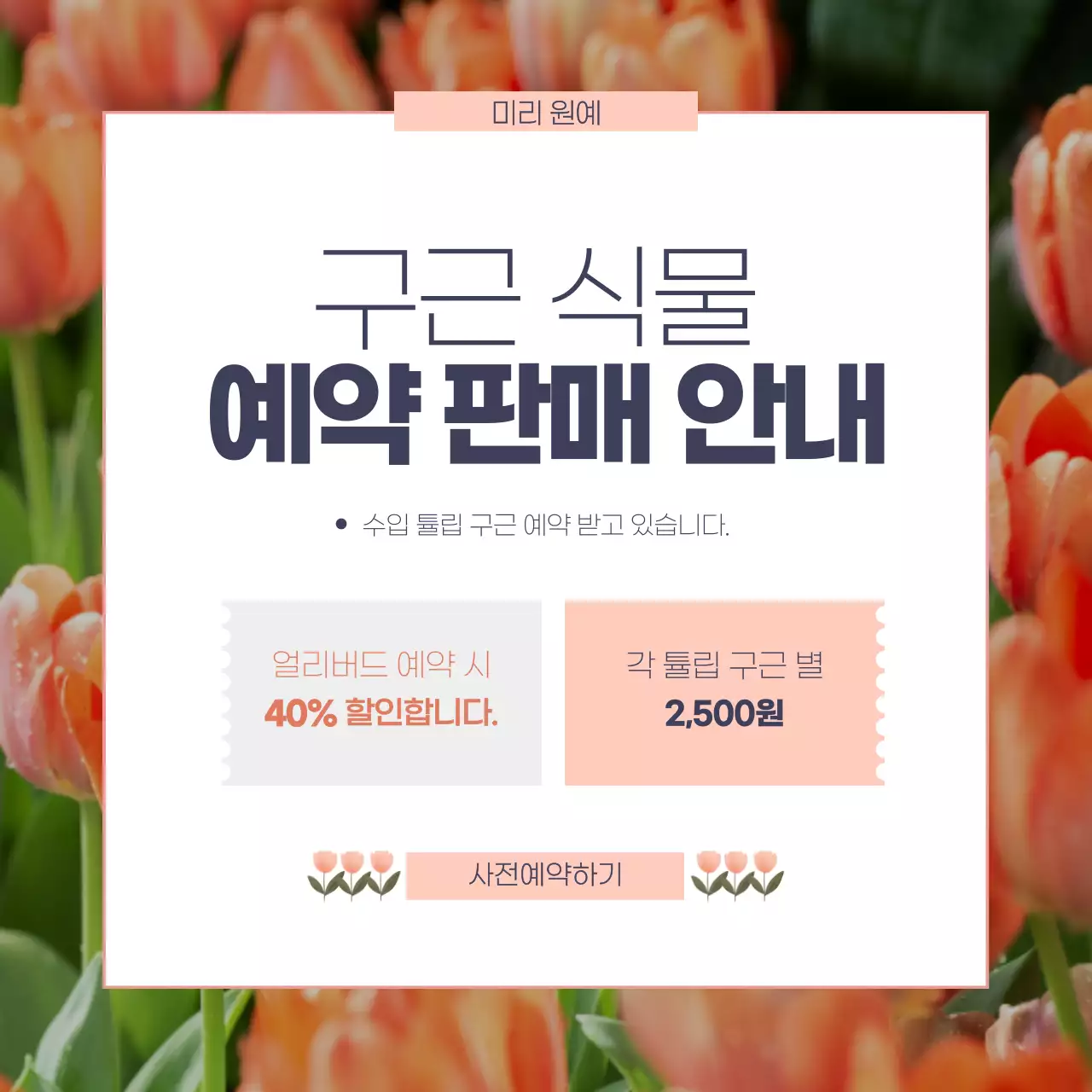 주황 깔끔 식물 예약 안내