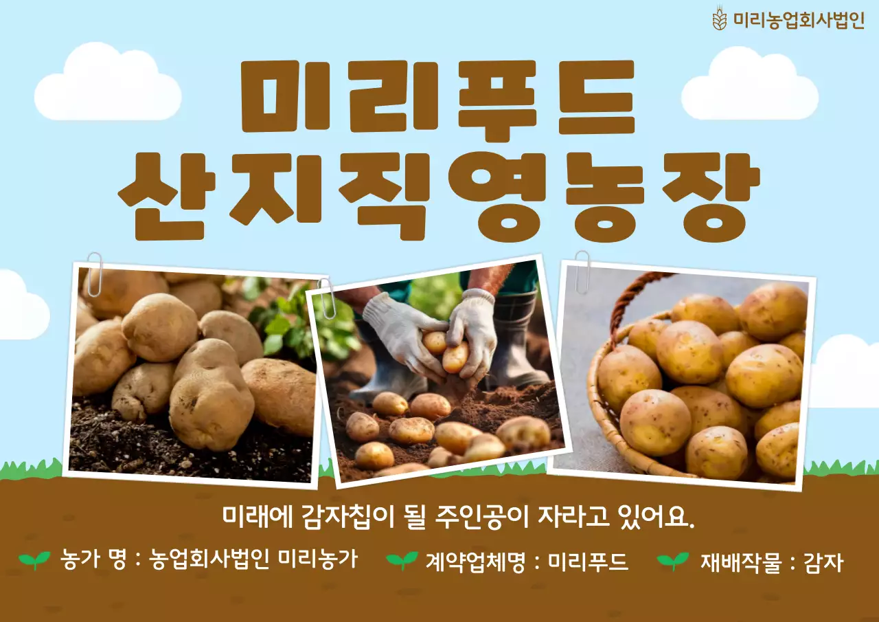 하늘색 심플 농장 광고