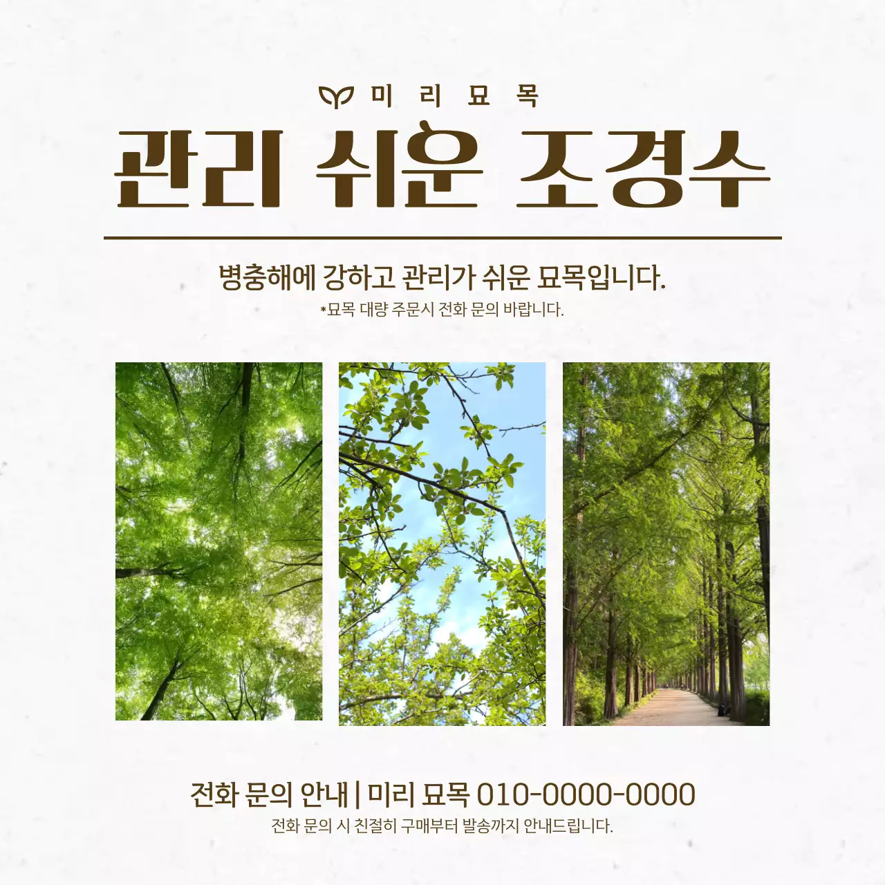 연두 심플 조경수 광고