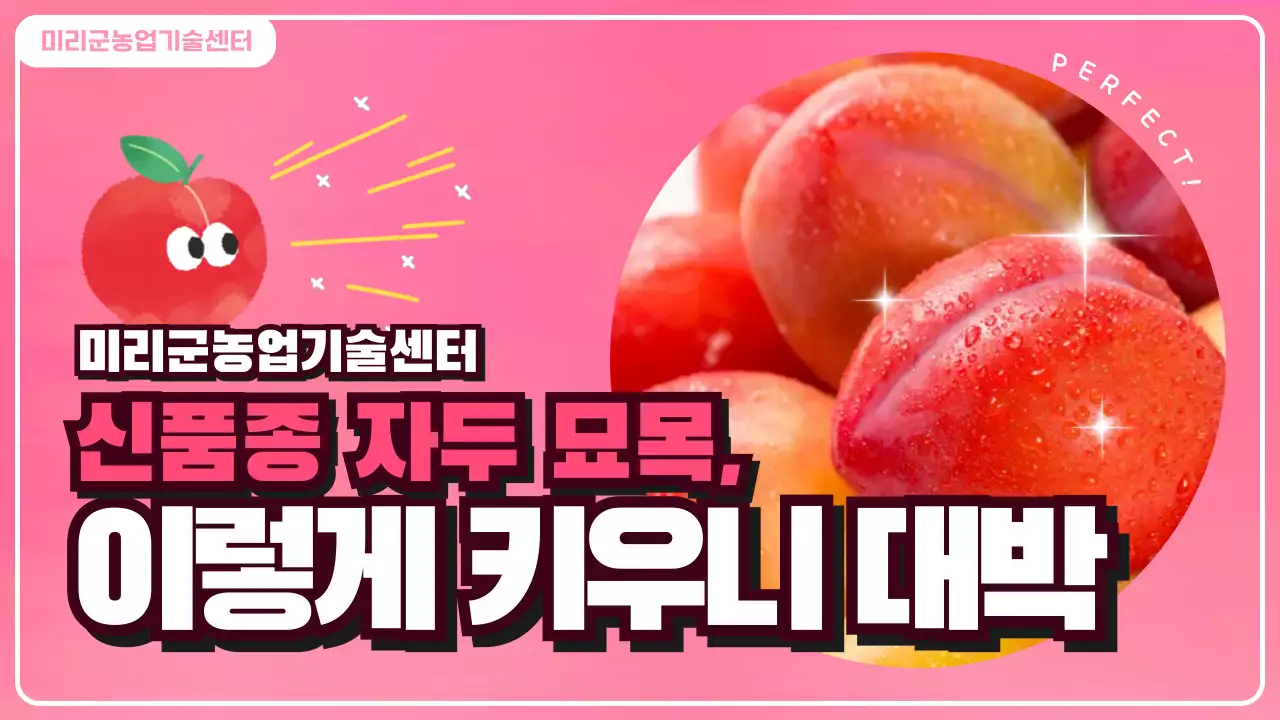 핑크 팝 농업 홍보