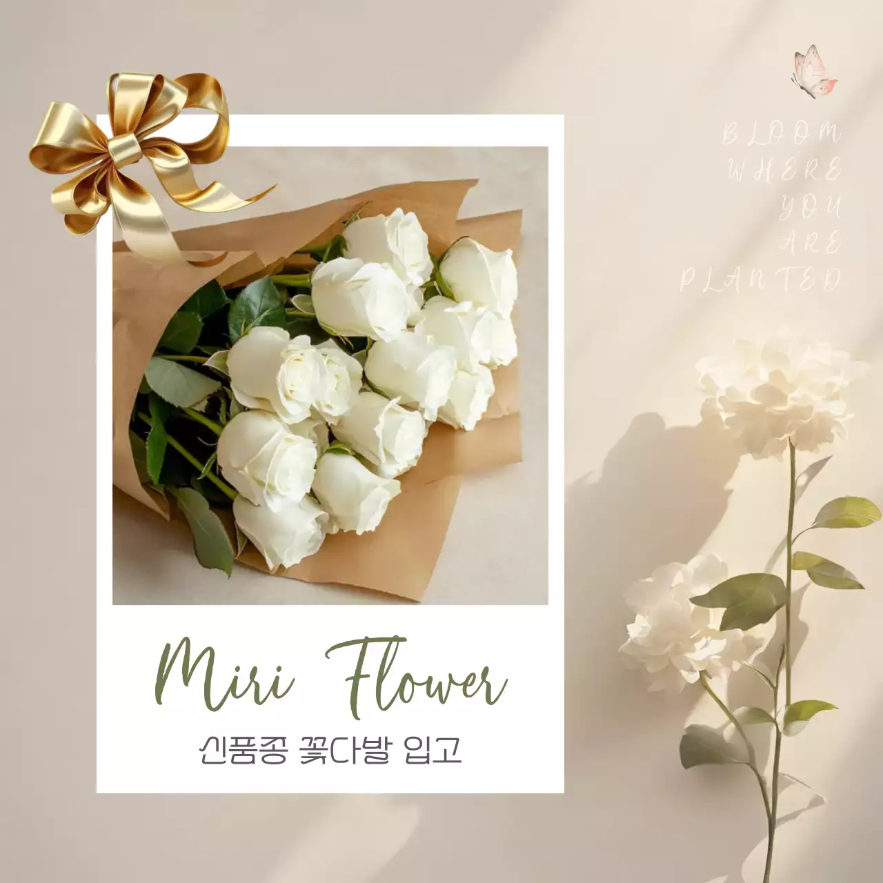 아이보리 우아한 꽃다발 광고