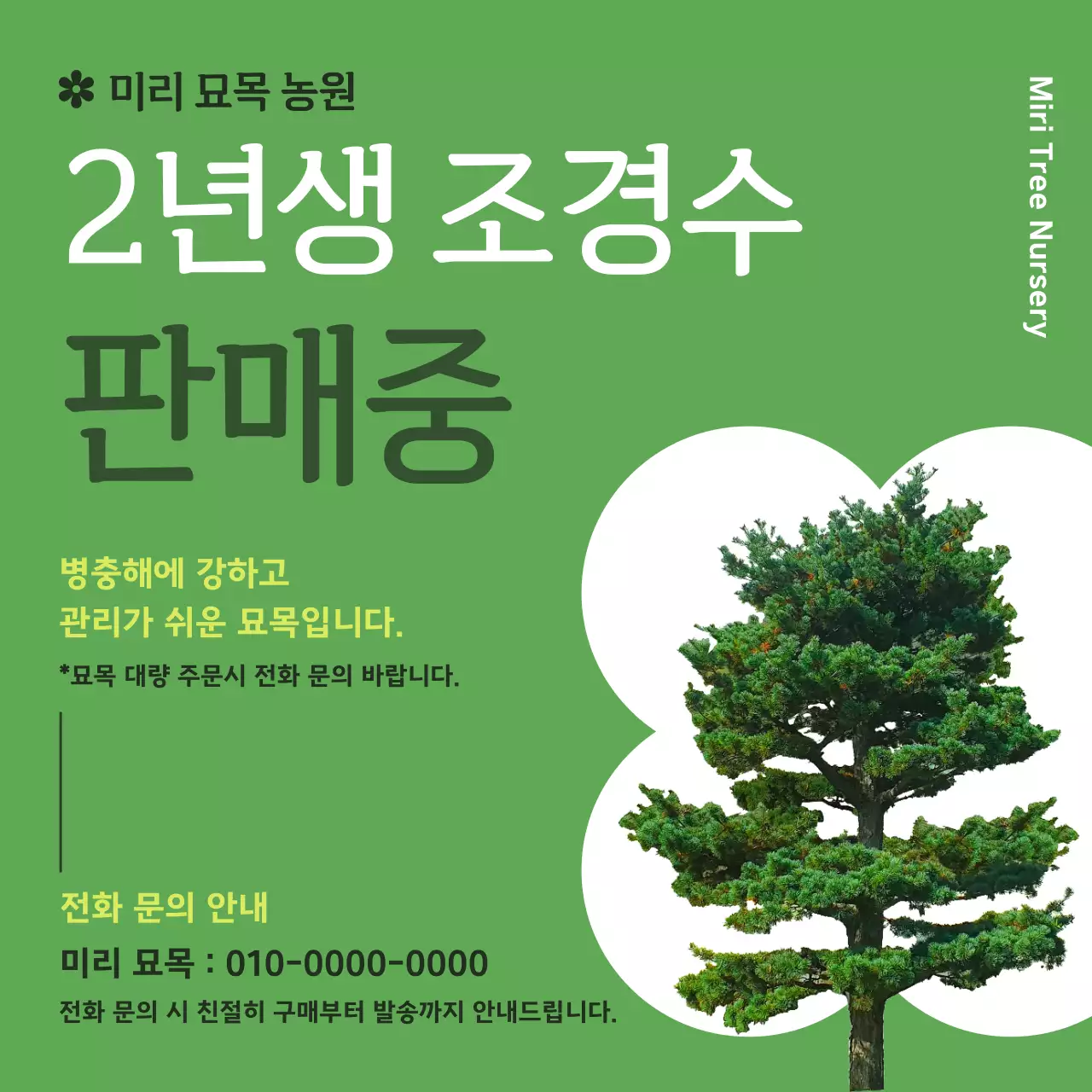 초록 깔끔 조경수 판매 홍보