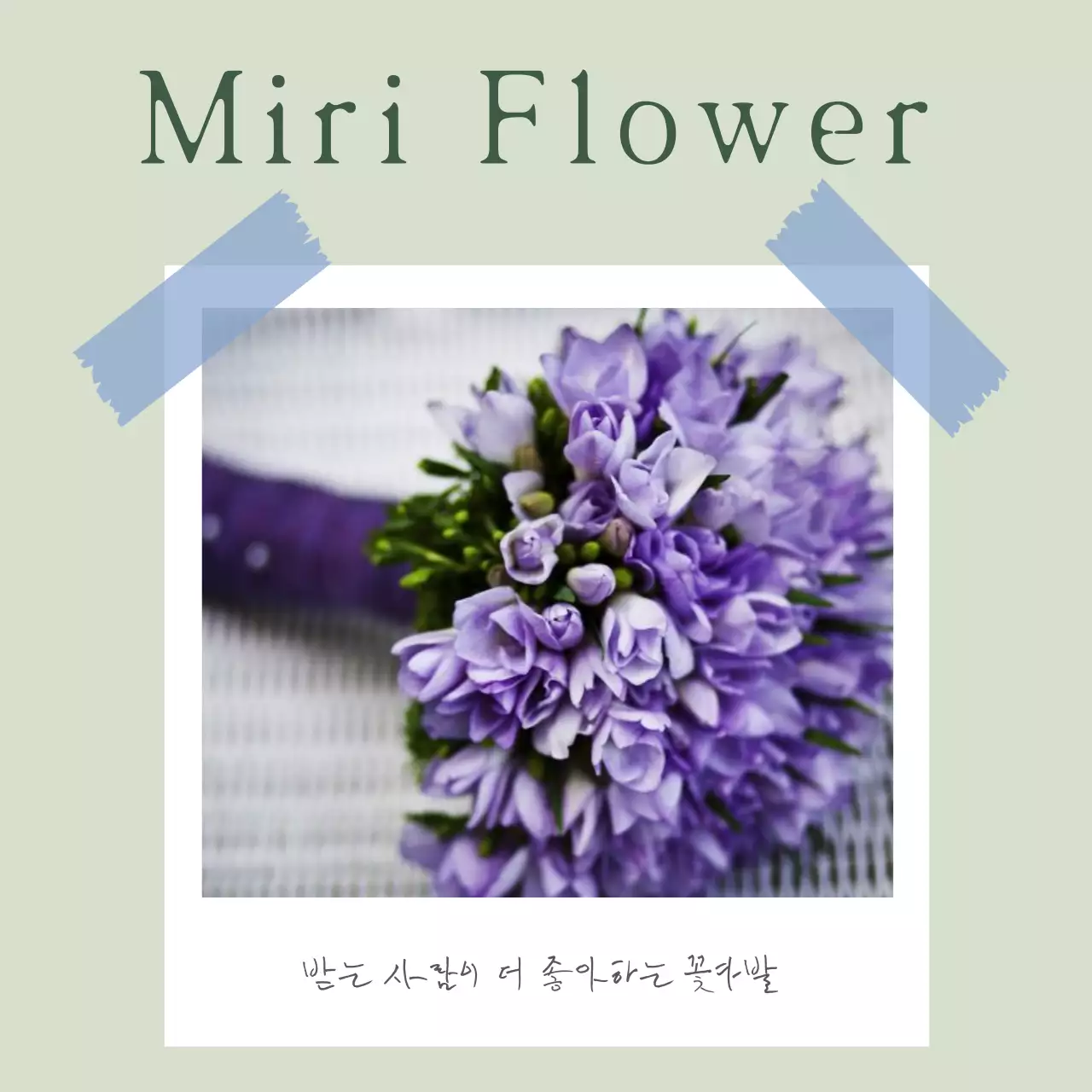 연보라 심플 꽃다발 광고