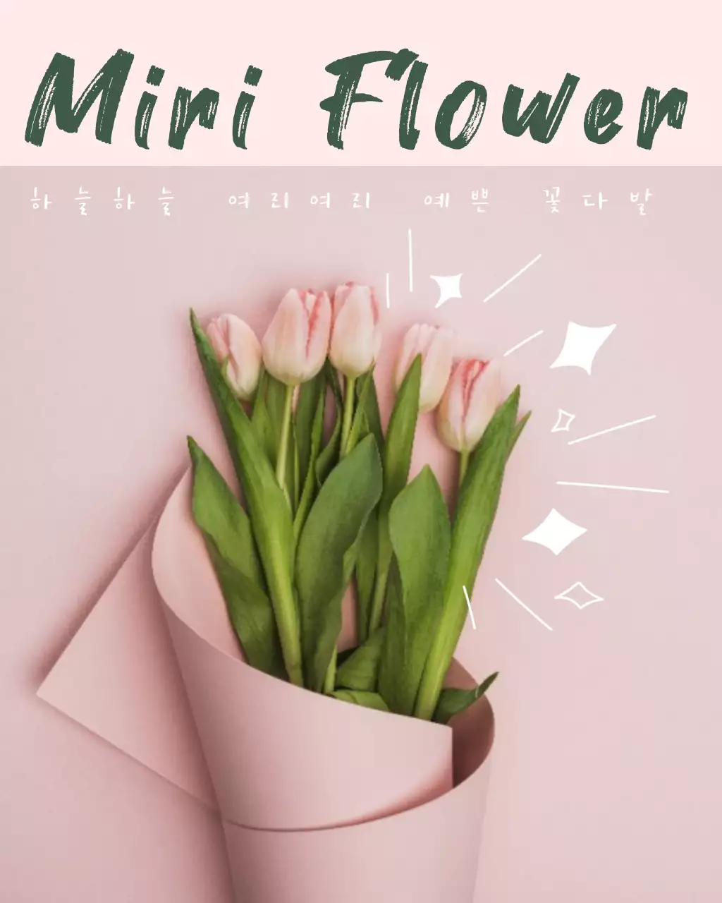 핑크 심플 꽃다발 광고