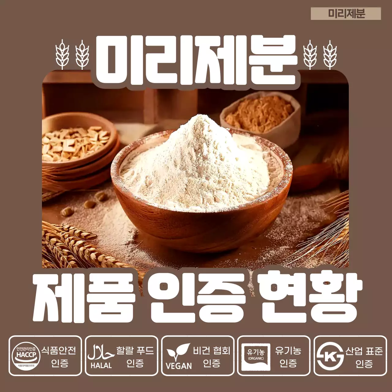 갈색 심플 식품 안전 정책 안내