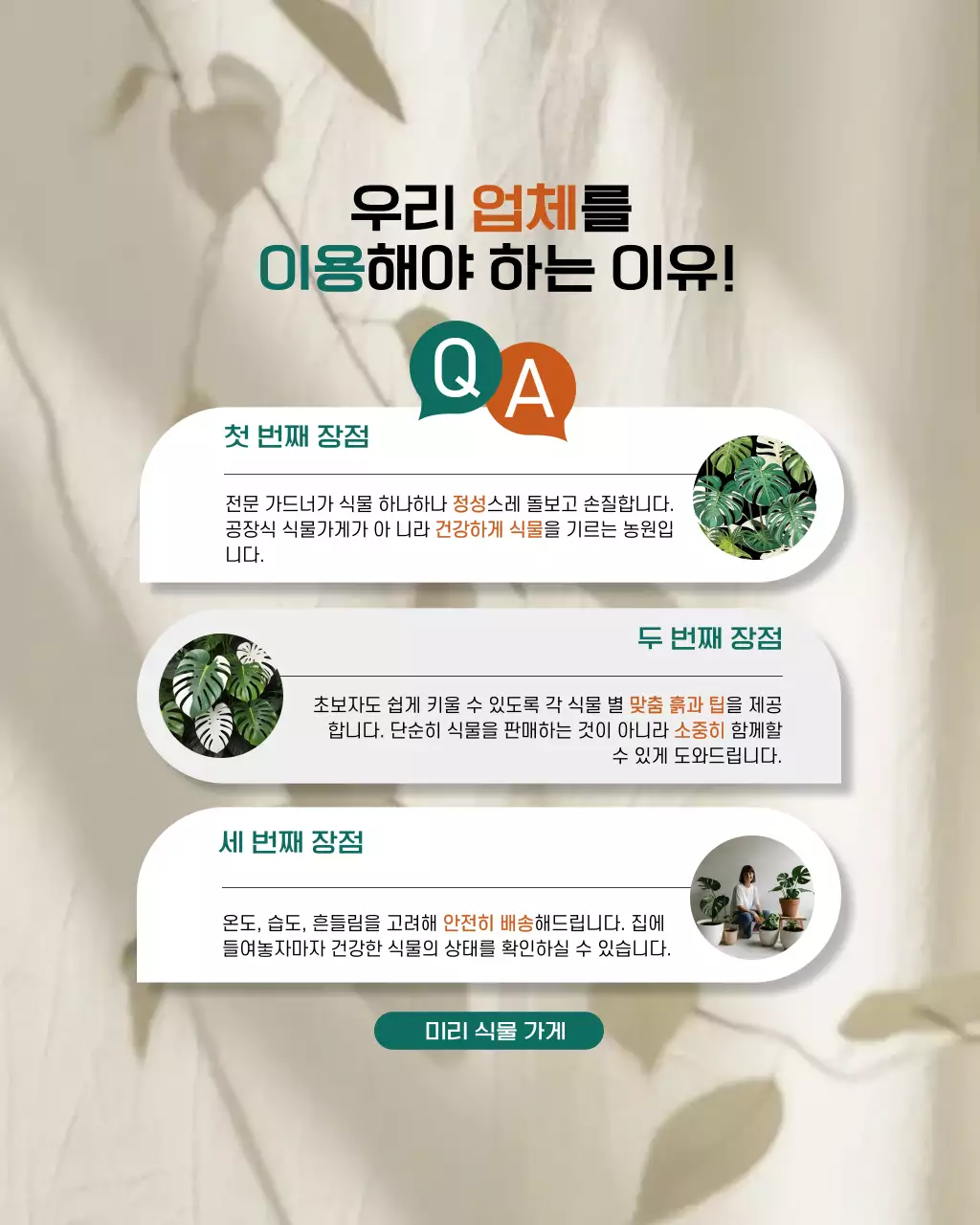 베이지 심플 식물 관리 설명