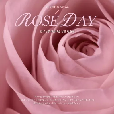 핑크와 핫핑크의 기본 스타일 로즈데이 게시글