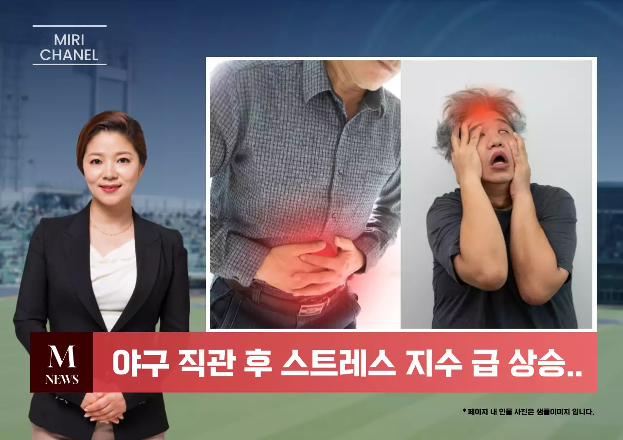 남색의 패러디한 야구 팬 짤