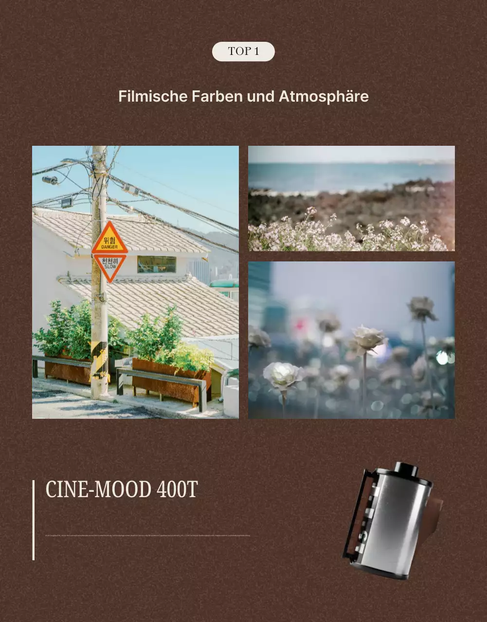 Brown Vintage-Film-Verkaufsanzeige