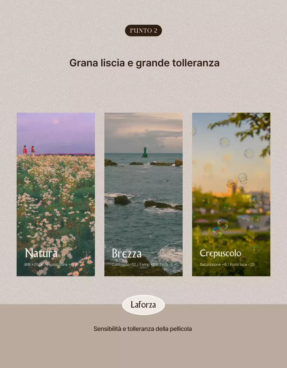 Annuncio pubblicitario per la vendita di pellicole vintage marroni