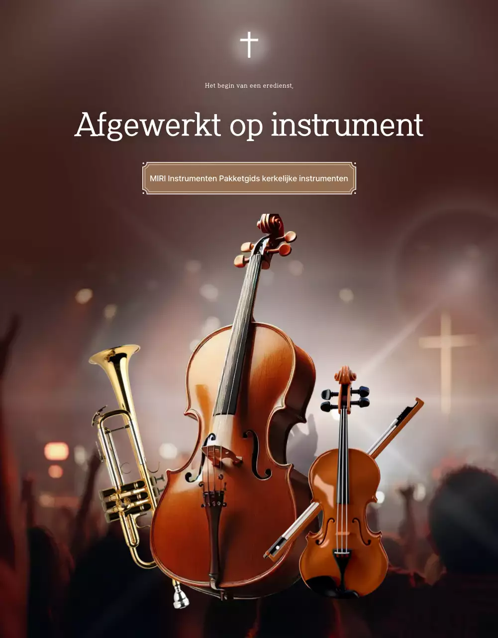 Promotie van de levering van hoogwaardige bruine kerkbedieningsteaminstrumenten