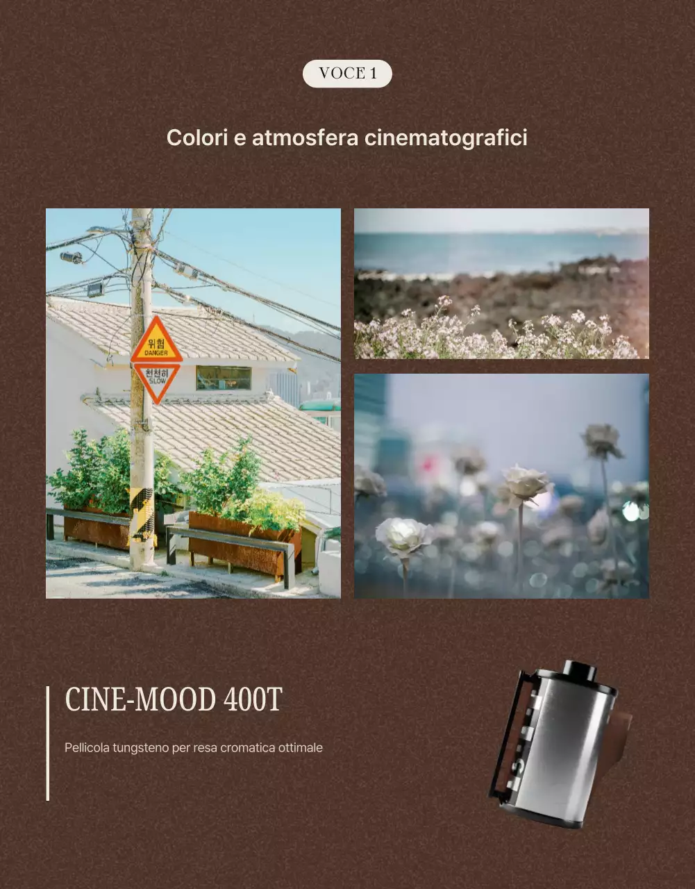 Annuncio pubblicitario per la vendita di pellicole vintage marroni